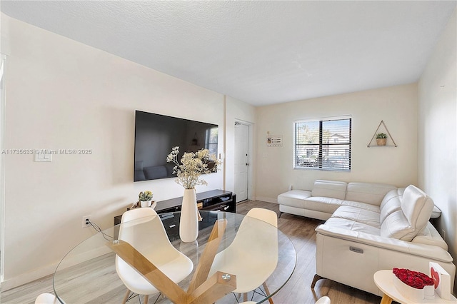 living room featuring wood-type flooring and a textured ceiling