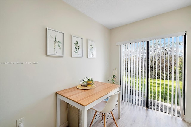 dining area with light hardwood / wood-style flooring