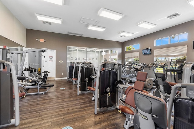 exercise room with dark hardwood / wood-style flooring