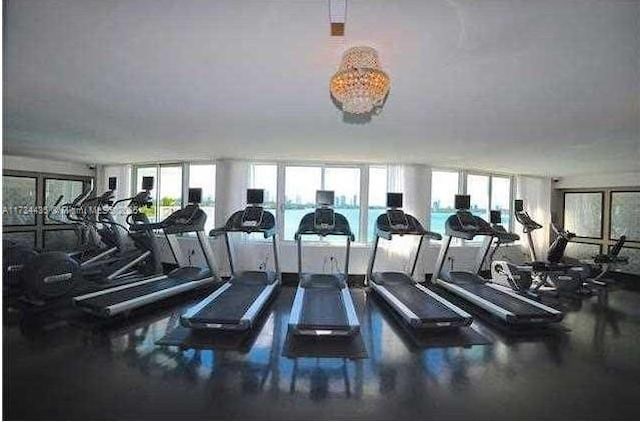 exercise room with a wealth of natural light