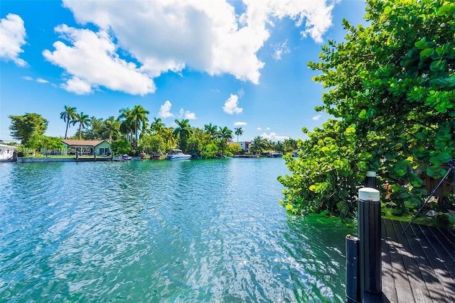 property view of water with a dock