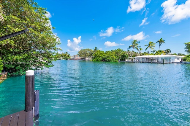 view of water feature with a boat dock