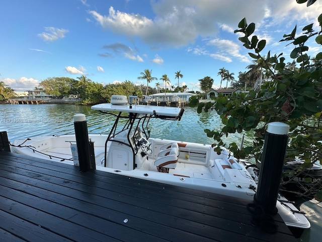 dock area with a water view