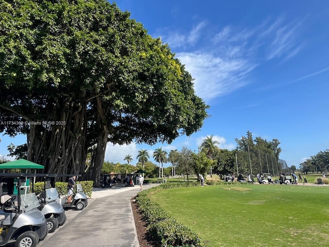 view of community with a yard