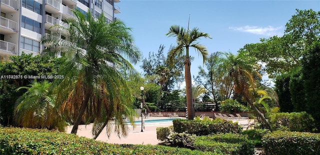 view of home's community with a pool