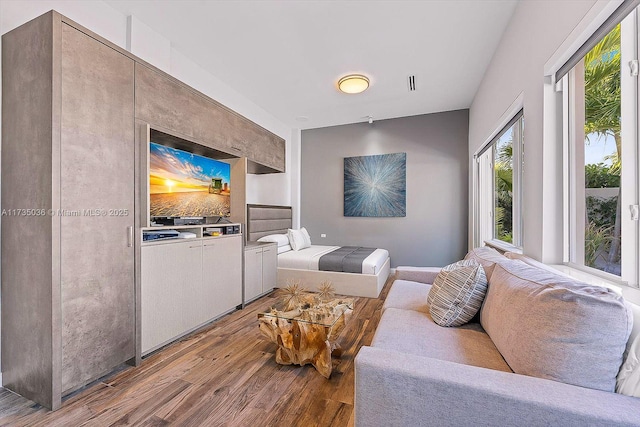 living room with hardwood / wood-style flooring