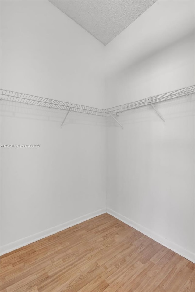 walk in closet with light hardwood / wood-style floors