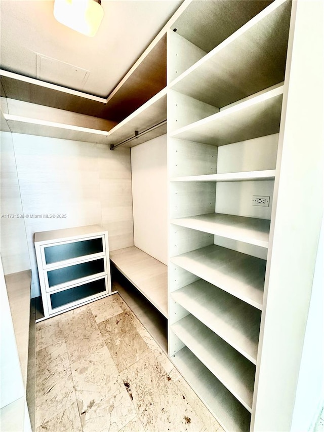 view of spacious closet