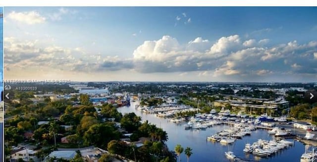 aerial view featuring a water view