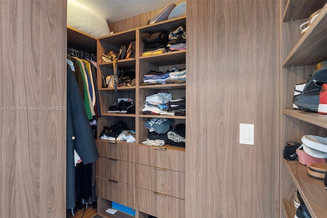 view of spacious closet