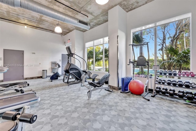 gym featuring carpet