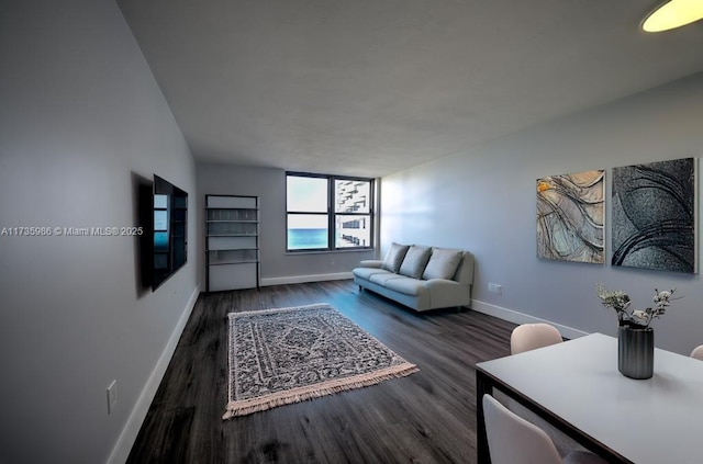 living room with dark hardwood / wood-style floors