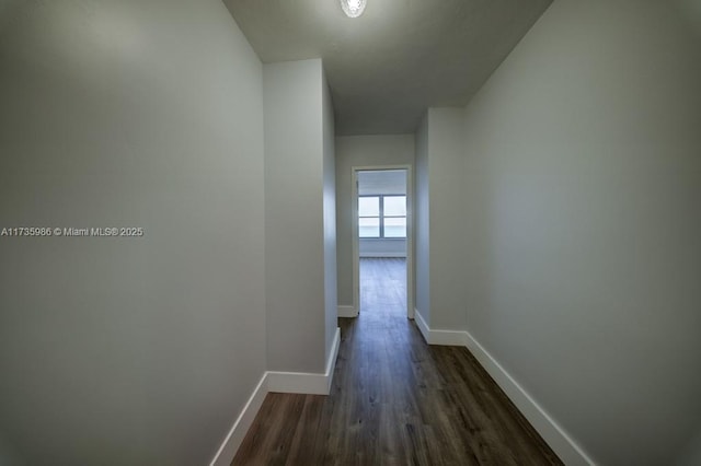 hall featuring dark hardwood / wood-style floors