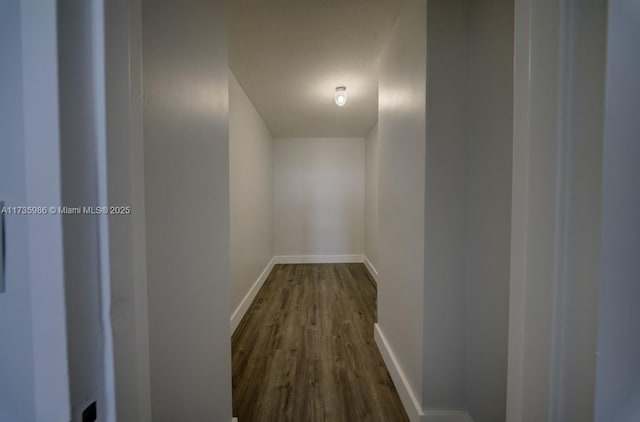 hall featuring hardwood / wood-style flooring