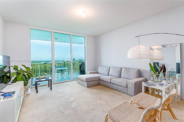 living room with carpet floors and a wall of windows