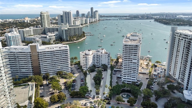 bird's eye view with a water view