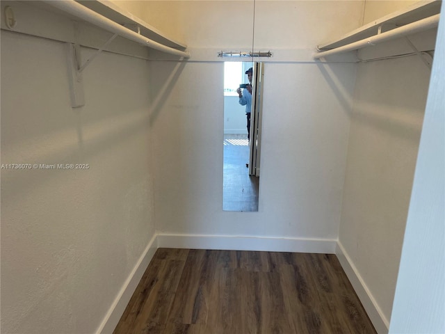 spacious closet with dark wood-type flooring