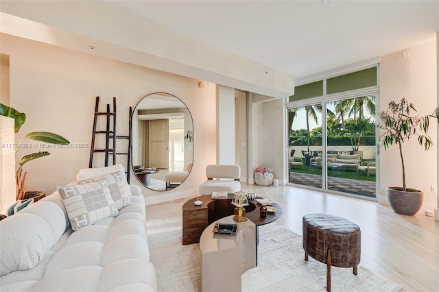 living room featuring light hardwood / wood-style floors