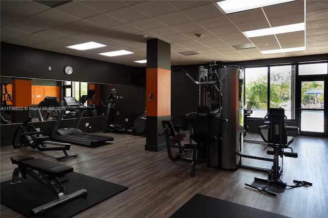 workout area with a paneled ceiling and hardwood / wood-style floors