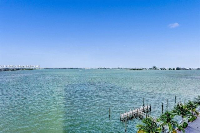 property view of water with a boat dock