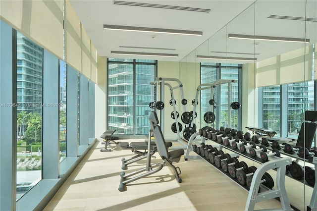 workout area with light hardwood / wood-style flooring, a wealth of natural light, and floor to ceiling windows