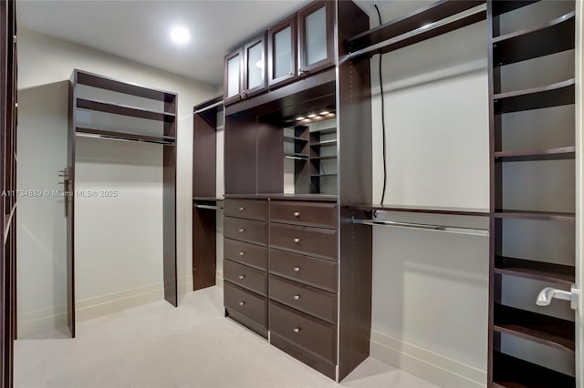 view of walk in closet