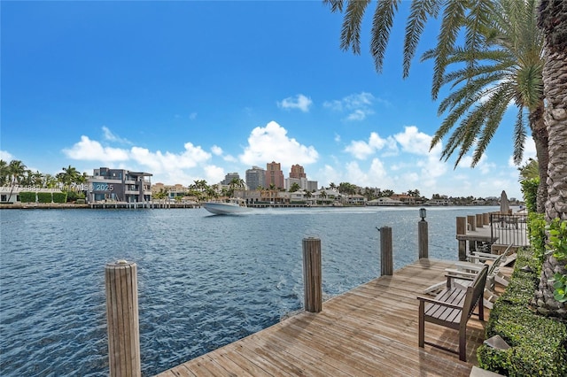 dock area with a water view