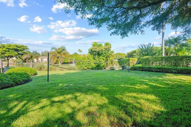 view of yard featuring volleyball court