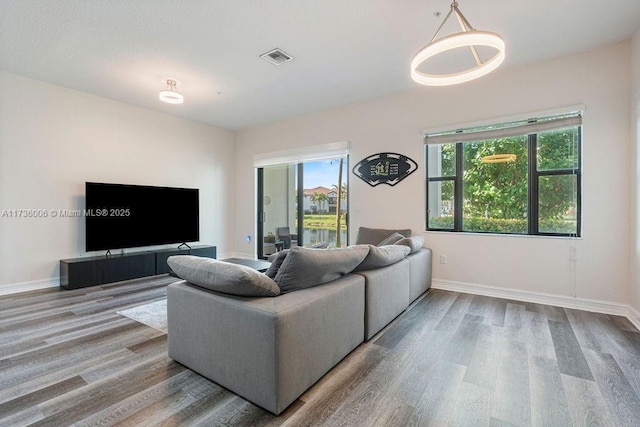 living room featuring plenty of natural light and hardwood / wood-style floors