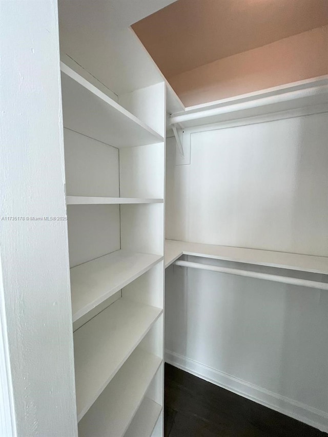 walk in closet featuring dark hardwood / wood-style floors