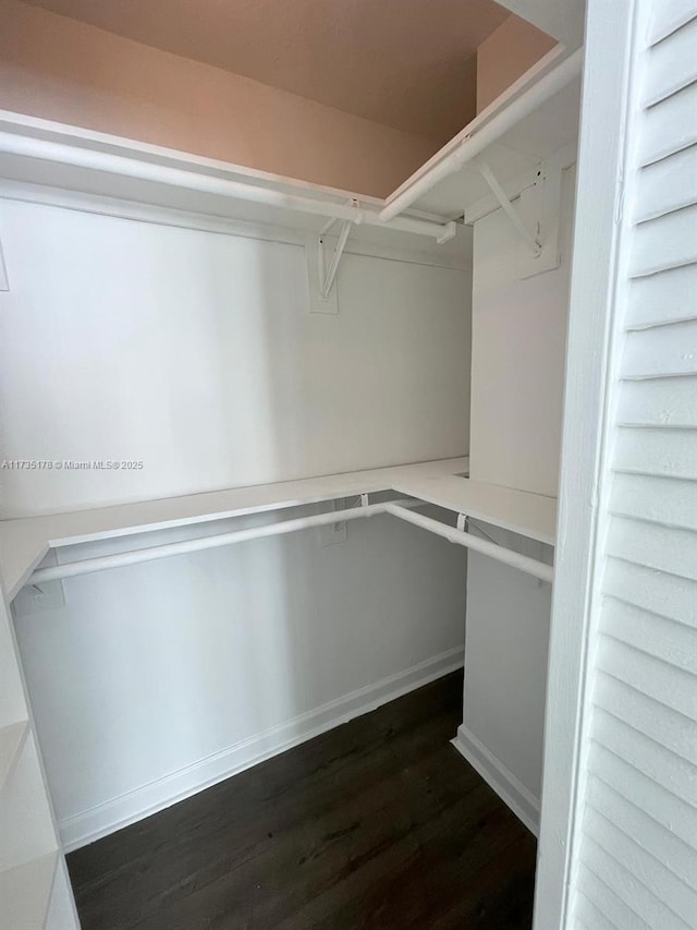 walk in closet featuring dark hardwood / wood-style floors