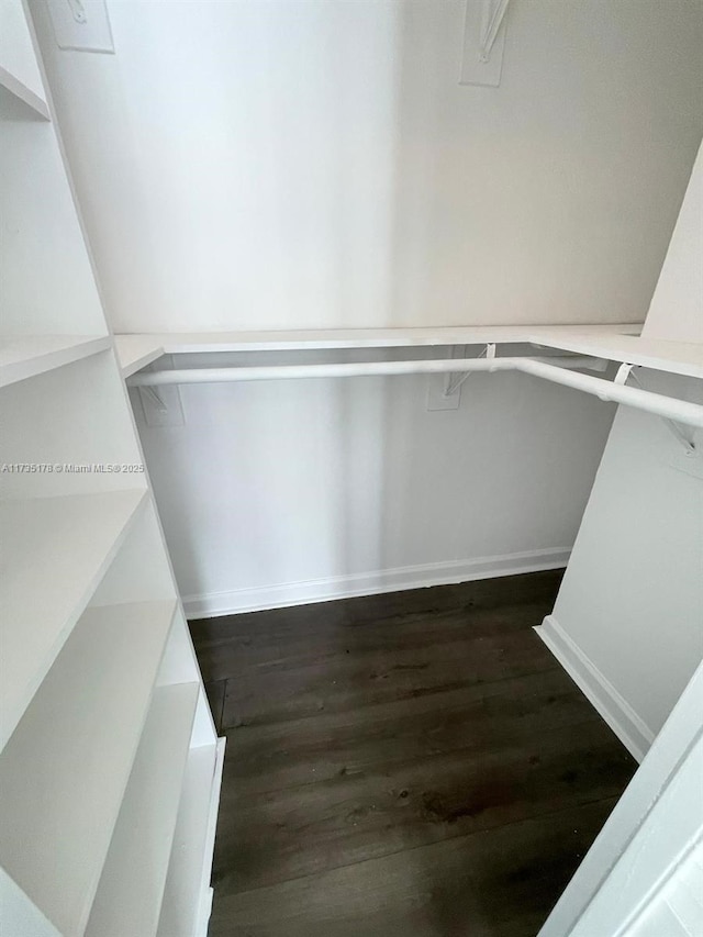 spacious closet with dark wood-type flooring