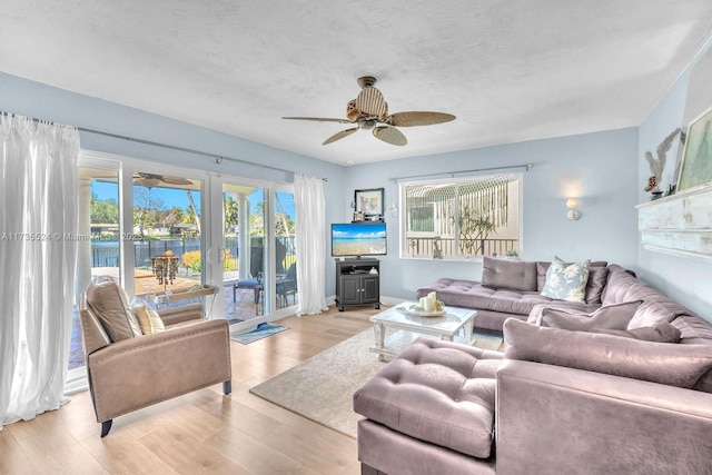 living room with ceiling fan, light wood-type flooring, and a textured ceiling