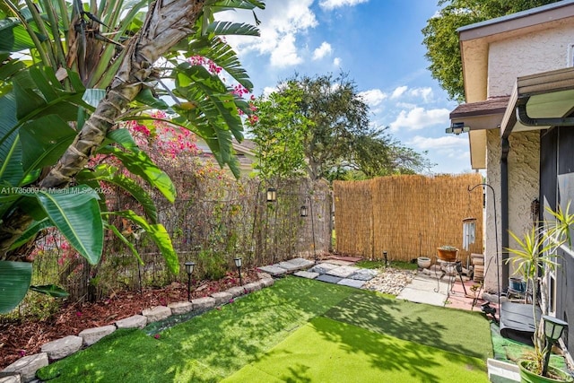 view of yard with a patio