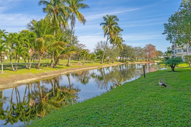 water view