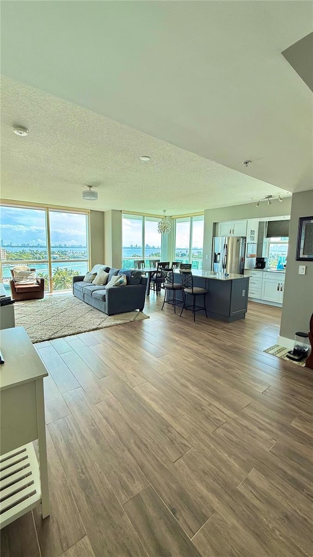 unfurnished living room with a healthy amount of sunlight, a textured ceiling, and light wood-type flooring