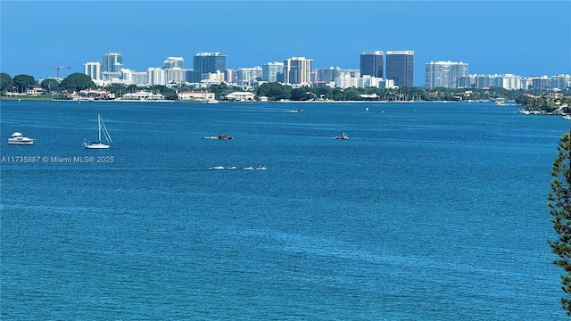 property view of water