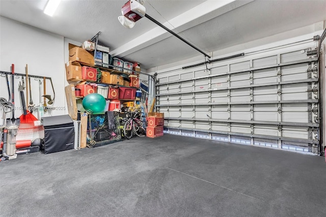 garage with a garage door opener