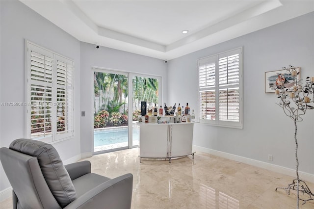 office featuring a tray ceiling