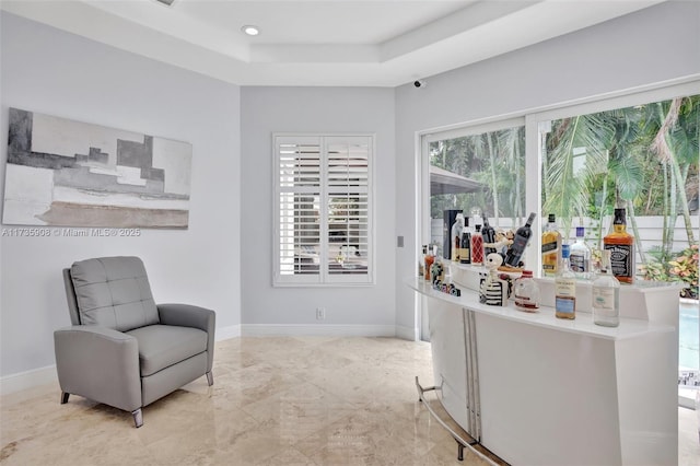 living area featuring a tray ceiling