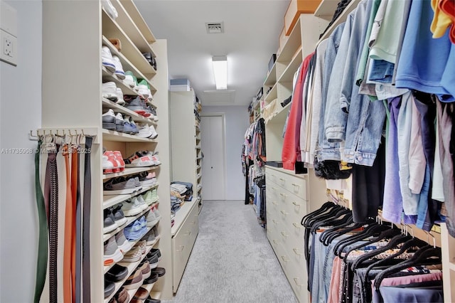 spacious closet with light carpet