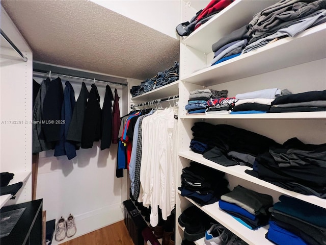 spacious closet featuring hardwood / wood-style flooring