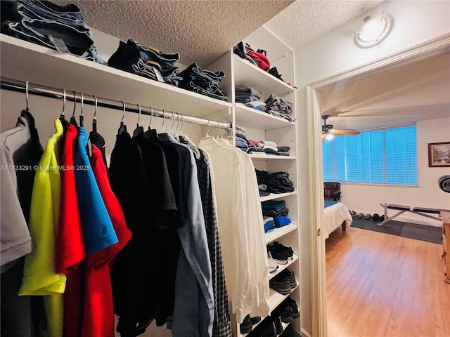 spacious closet with wood-type flooring and ceiling fan