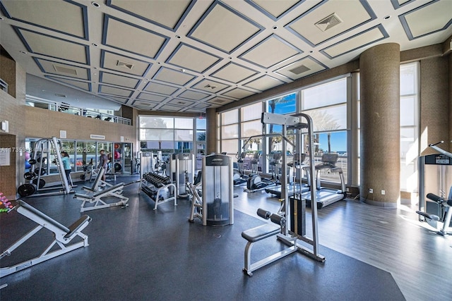 workout area featuring a wealth of natural light and floor to ceiling windows