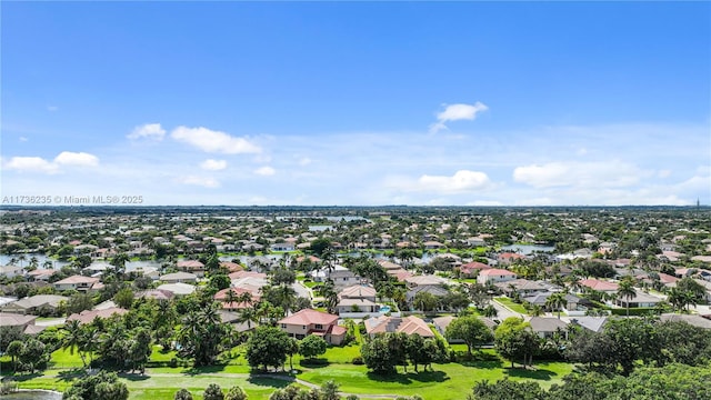 bird's eye view