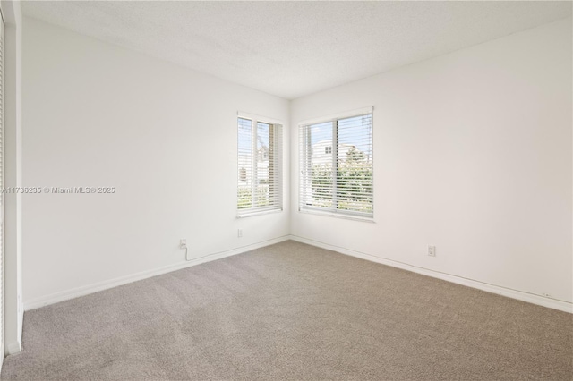 unfurnished room featuring carpet flooring and a textured ceiling