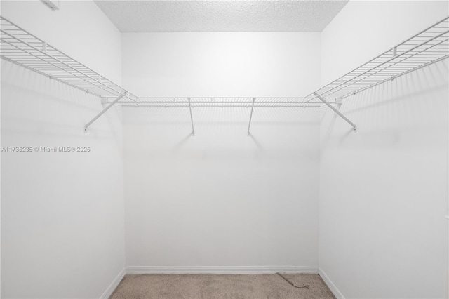 walk in closet featuring carpet floors