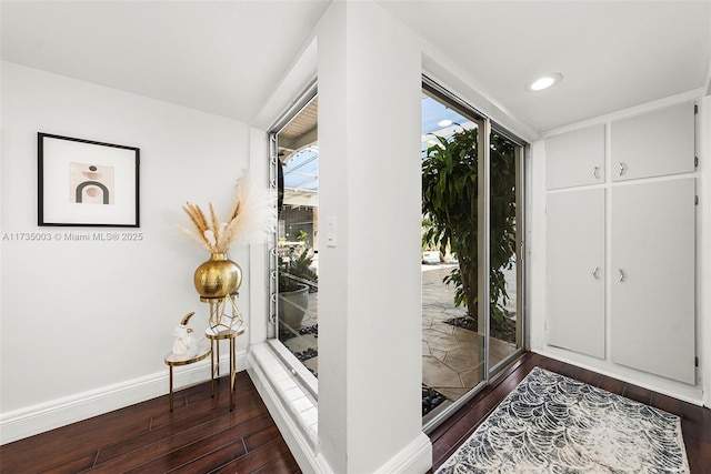 foyer with dark hardwood / wood-style flooring