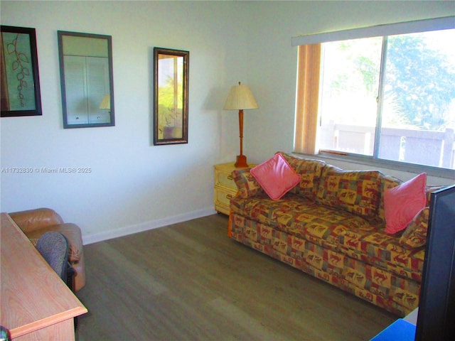 living room with dark hardwood / wood-style flooring