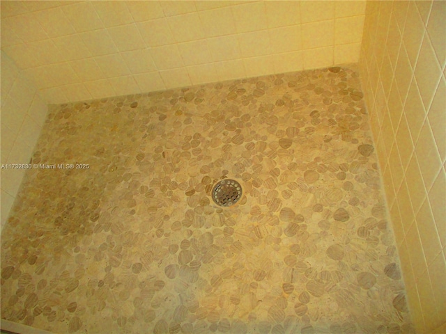 interior details featuring a shower